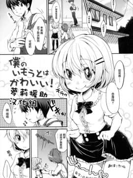 [萝莉援助汉化组][雪雨こん (MeltdoWN COmet)]僕のいもうとはかわいい! (COMIC RiN 2011年1月号)