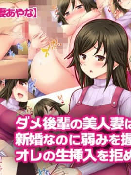中国翻訳 Hentai Comics