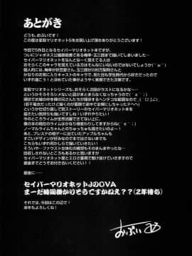 [可乐个人汉化](C93) [OVing (おぶい)] 変態マリオネット5 (セイバーマリオネットJ)_28