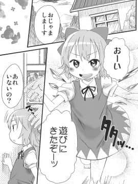 (C79) [アレクササンダー (荒草まほん)] ホットカスタード (東方Project)_04