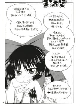(例大祭15) [はにゃ屋敷 (はにゃ)] 東方迷込～霊夢編～ (東方Project)_03