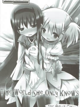 (C80) [ふらいぱん大魔王 (提灯暗光)] THE WORLD SHE ONLY KNOWS (魔法少女まどか☆マギカ)_02