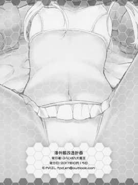 (COMIC1☆12) [ふらいぱん大魔王 (提灯暗光)] 海外艦改造計画 (艦隊これくしょん -艦これ-)_17