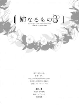 (C90) [ぽち小屋。 (ぽち。)] 姉なるもの 3 (姉なるもの) [沒有性慾是一個姐姐解決不了的，如果有，那就兩個漢化組]_026