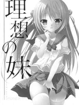 (C88) [INS-mode (天凪青磁)] 理想の妹 [嗶咔嗶咔漢化組]_04