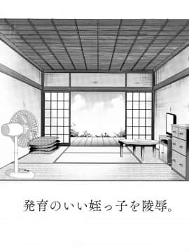 (C94) [しまじや (しまじ)] 発育のいい姪っ子を陵辱。[兔司姬漢化組]_03