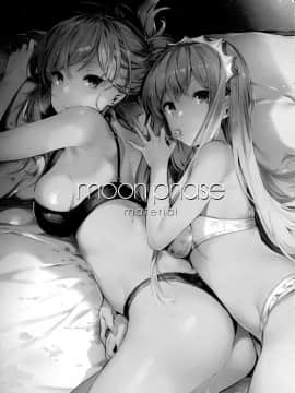 (COMIC1☆11) [MoonPhase (ゆらん)] moon phase material (FateGrand Order) [中国翻訳]_002