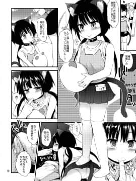 (C88) [ピコピコ★ラビリンス (藤坂リリック)] 非合法JSカフェ_09