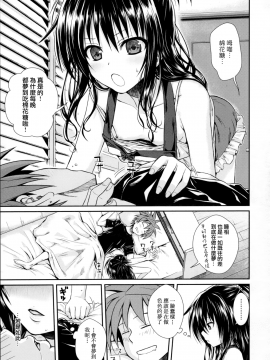 (C91) [40010壱号 (40010試作型)] Wished World, Debauched World (To LOVEる -とらぶる-)[無邪気漢化組]_MJK-17-T493-004