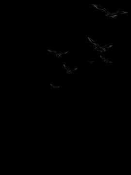 [H.B.A (うさぎなごむ)] 悠久の娼エルフ2「憧憬」_02