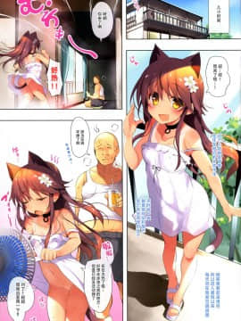 [脸肿汉化组](C96) [猫御所 (ヤナギユウ)] Neko Neko Note 5 エアコンが壊れた部屋で汗だくセックスする本_08