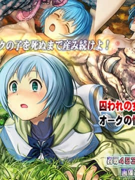 [妖怪あんかけ (ピクルス)] 囚われの女魔法使いはオークの性奴隷に Hentai Comics